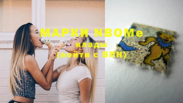стафф Алексин