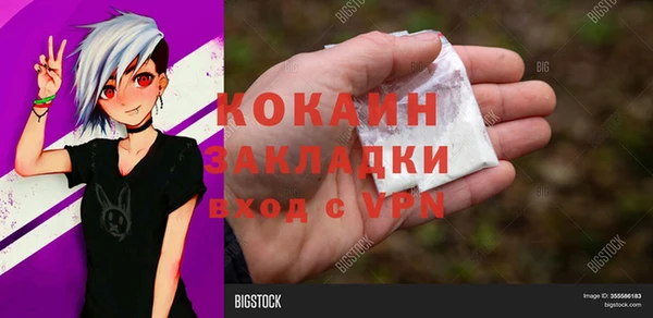 индика Армянск