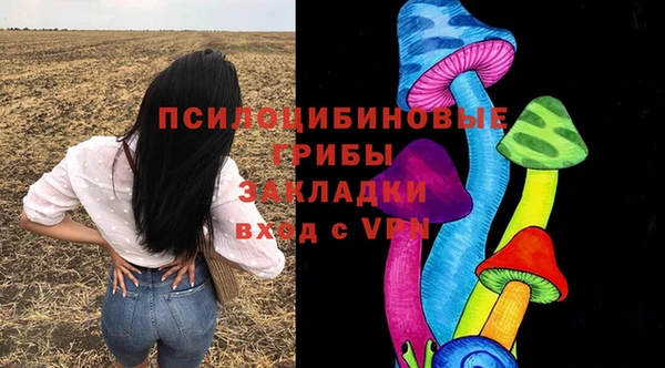 стафф Алексин