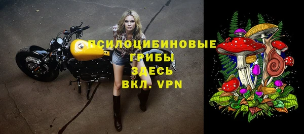 индика Армянск