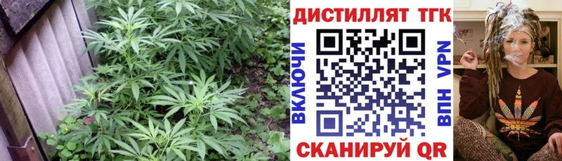 Дистиллят ТГК THC oil Ленинск-Кузнецкий