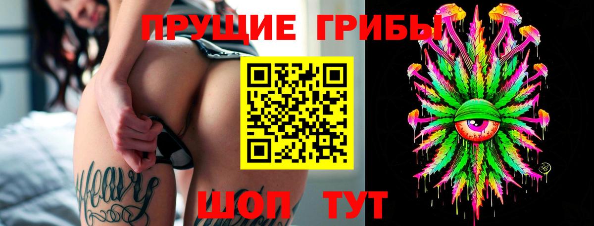 Псилоцибиновые грибы Cubensis Ленинск-Кузнецкий