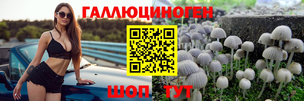 Ленинск-Кузнецкий  Псилоцибиновые грибы прущие грибы  Вход с VPN 